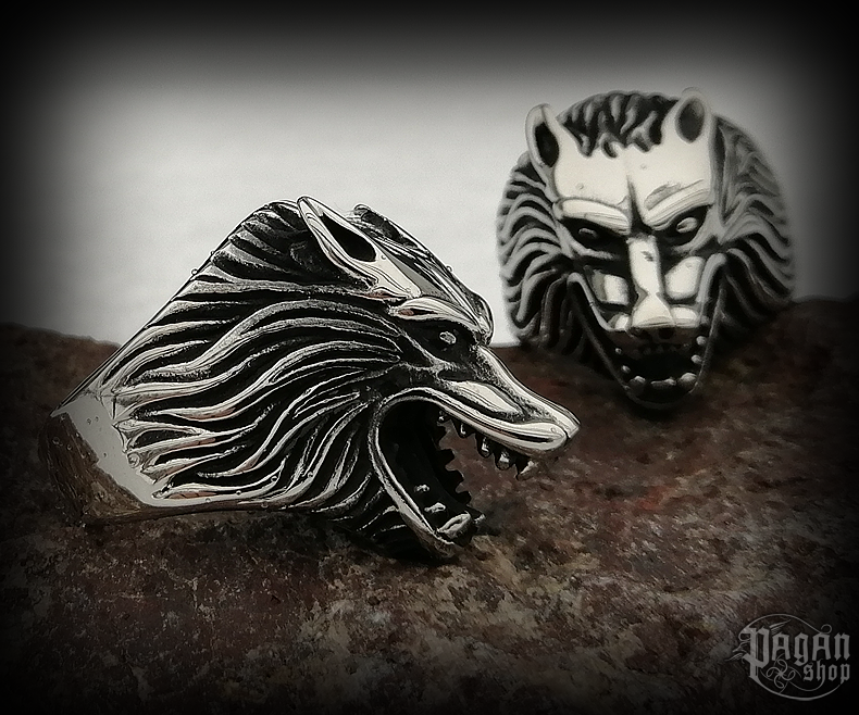 Prsten Vlkodlak Lucius - ocel