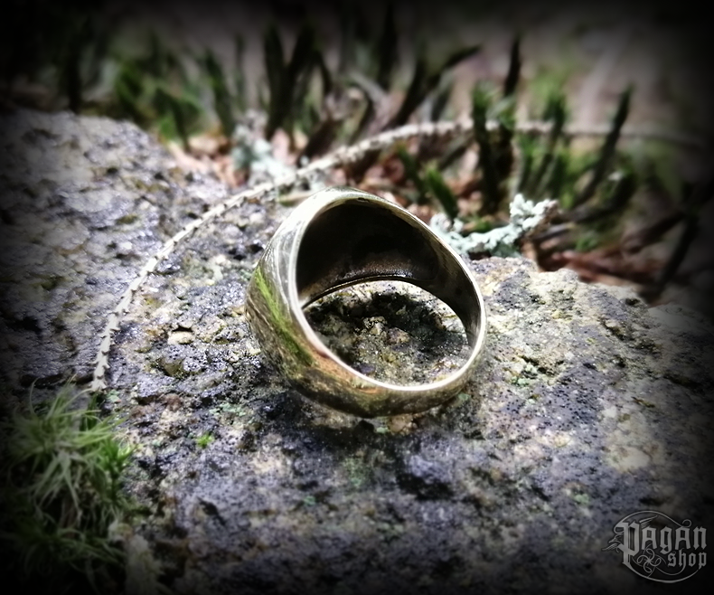 Prsten Vegvisir Ragsøn - bronz