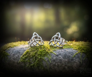 Náušnice Triquetra Rhiana - Ag 925/1000